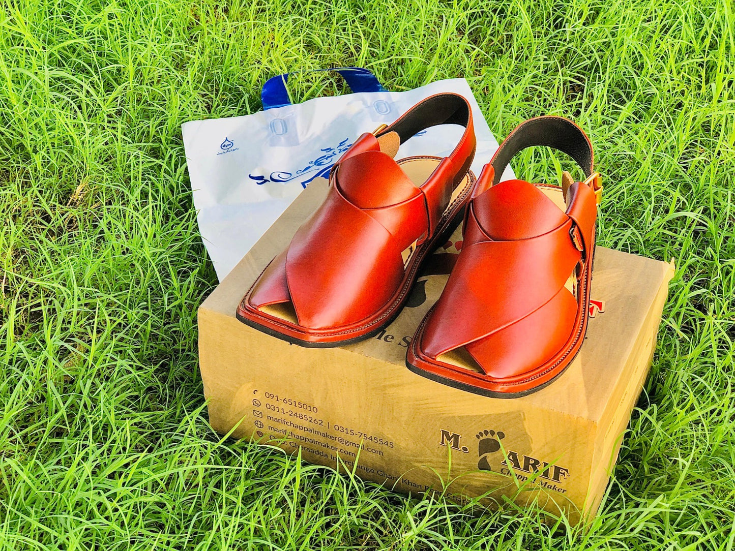 Smart Zalmi Master Brown